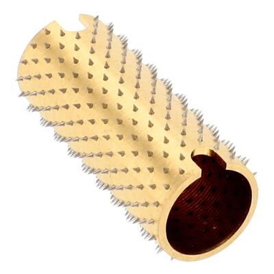 Stachelwalze