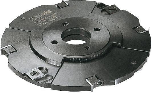 WPLVerstellnutfräser 160x12,5-24x30 Z4
